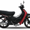 MOTORRAD EXPRESS 100(2023)