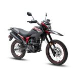 ENDURO (LF150GY-4 II) LIFAN
